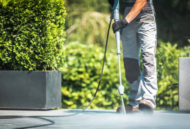 Animal Enclosure Cleaning in Tahoka, TX